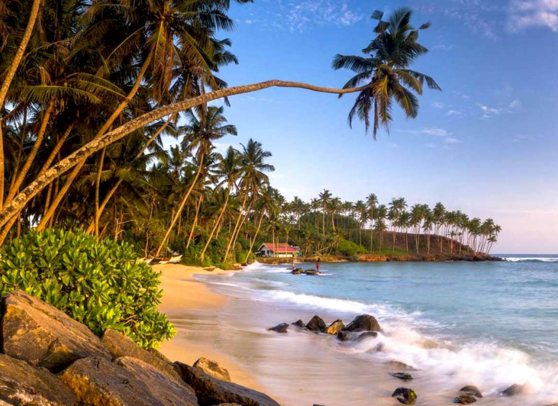 Srilanka Tour Package
